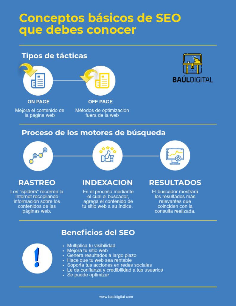 infografia seo